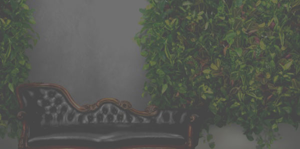 обслуживание растений, благоустройство и озеленение, ландшафтный дизайн москва, растения в офис, озеленение, озеленение офиса, озеленение интерьера, благоустройство и озеленение москва, mister green