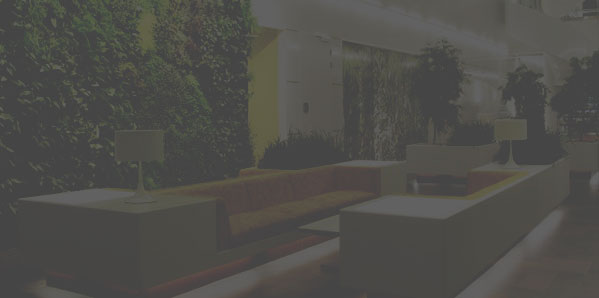 обслуживание растений, благоустройство и озеленение, ландшафтный дизайн москва, растения в офис, озеленение, озеленение офиса, озеленение интерьера, благоустройство и озеленение москва, mister green