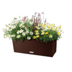 благоустройство и озеленение офиса