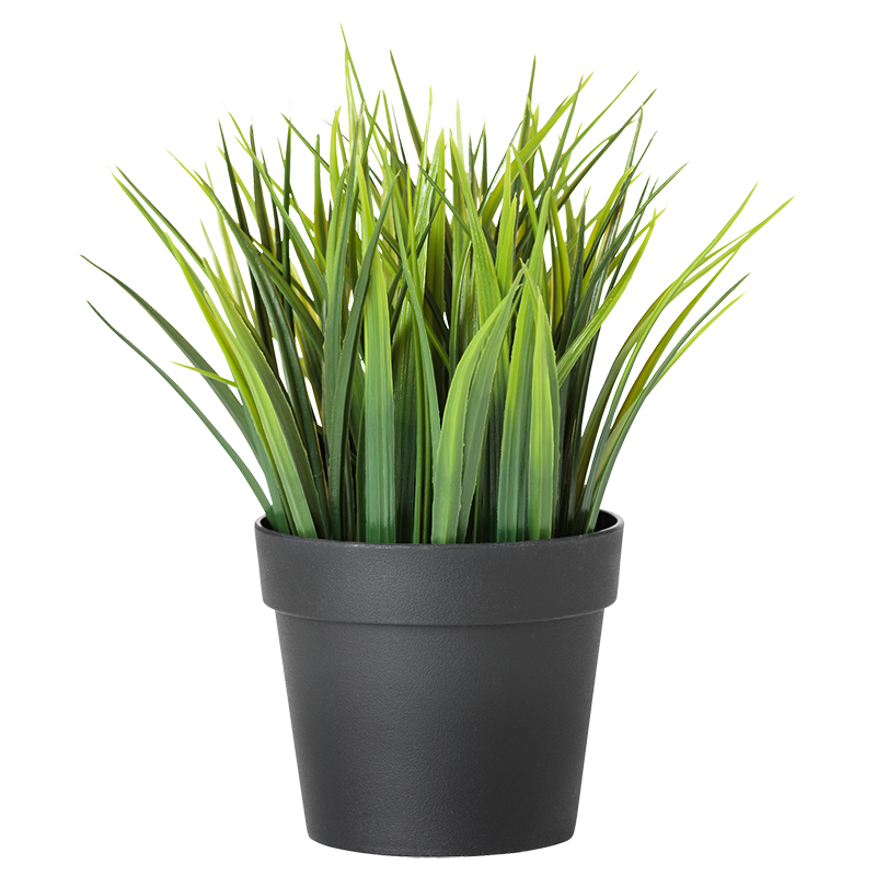 искусственные растения