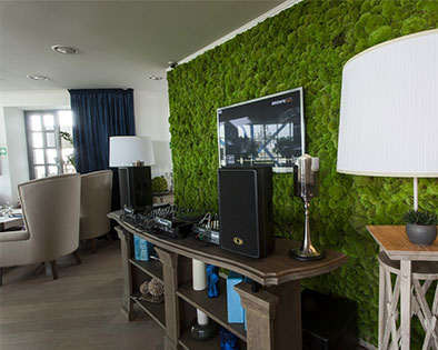 стабилизированные растения стоимость, стабилизированный мох, стабилизированные растения, стабилизированный мох москва, стабилизированный мох цена, стабилизированный мох стоимость, стабилизированные растения цена, стабилизированные растения москва