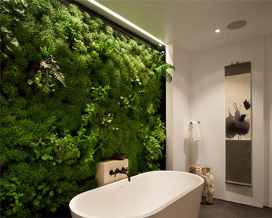 стабилизированные растения стоимость, стабилизированный мох, стабилизированные растения, стабилизированный мох москва, стабилизированный мох цена, стабилизированный мох стоимость, стабилизированные растения цена, стабилизированные растения москва