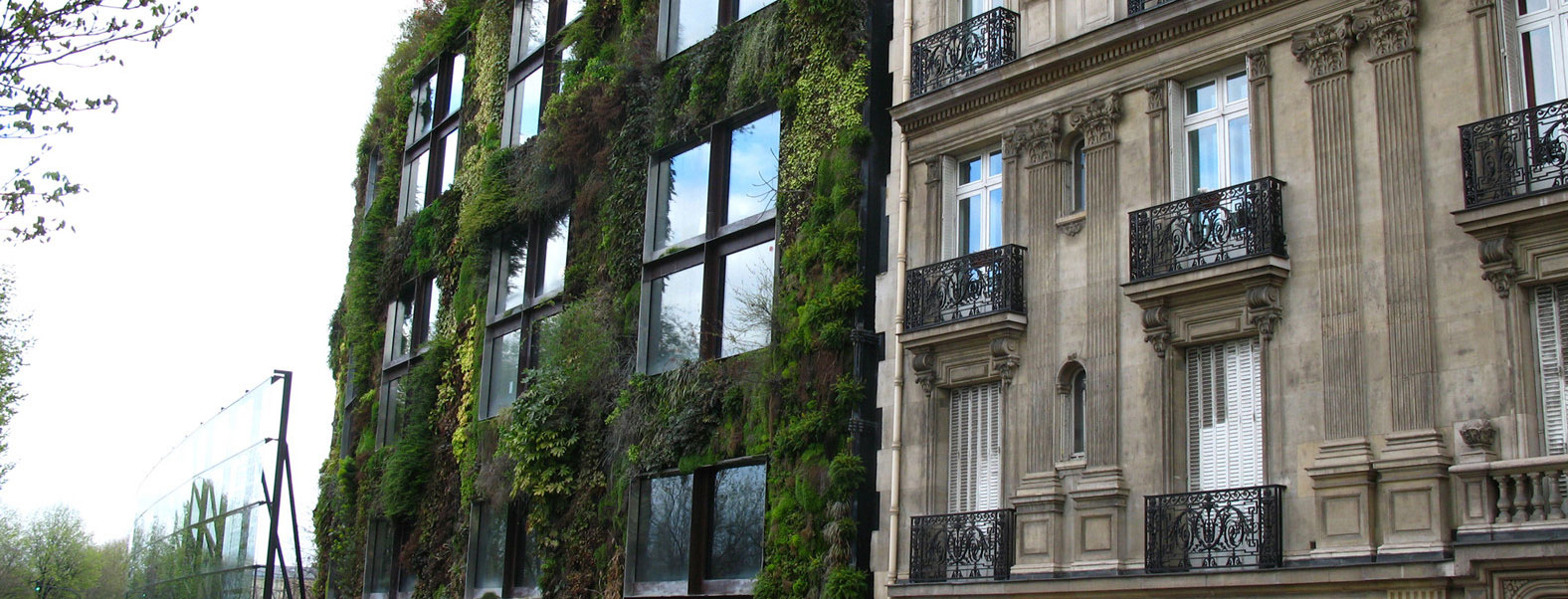 Озеленение частных домов и квартир!