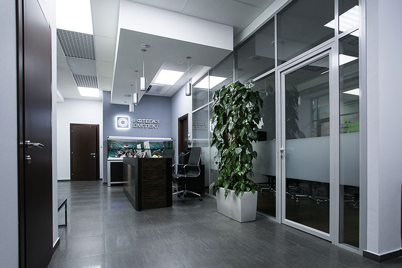 Озеленение офиса в г Москва и Москвоской области