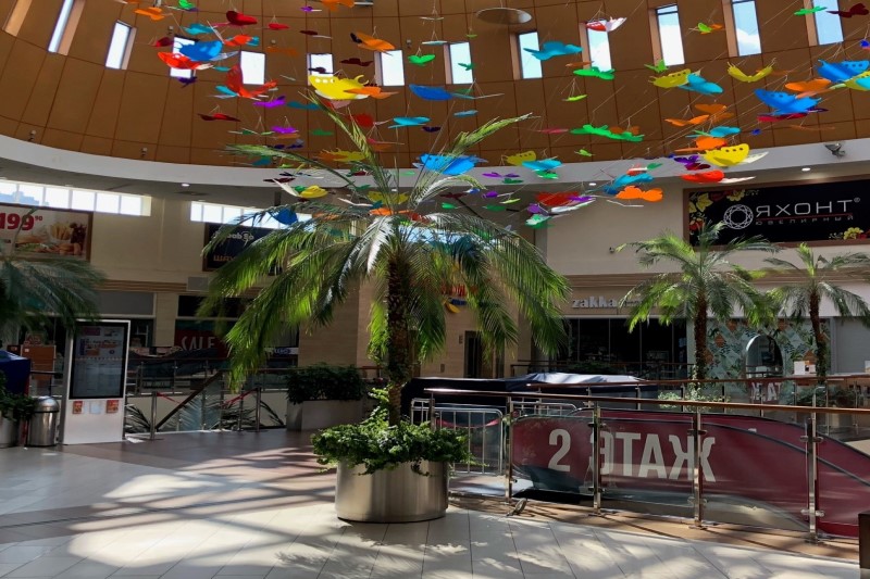 Озеленение торговых центров!