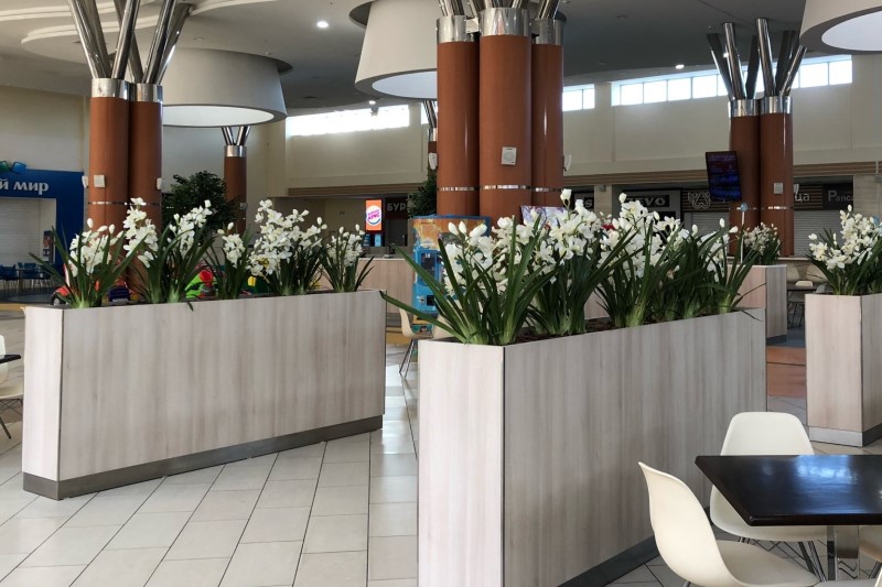 Озеленение торговых центров!