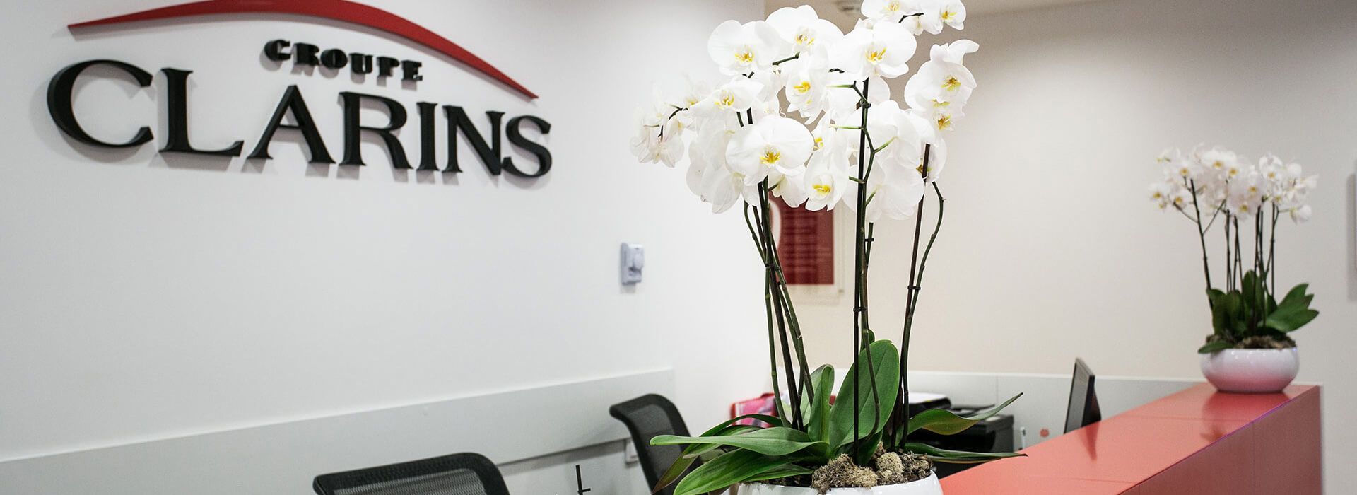 обслуживание растений, благоустройство и озеленение, ландшафтный дизайн москва, растения в офис, озеленение, озеленение офиса, озеленение интерьера, благоустройство и озеленение москва, mister green