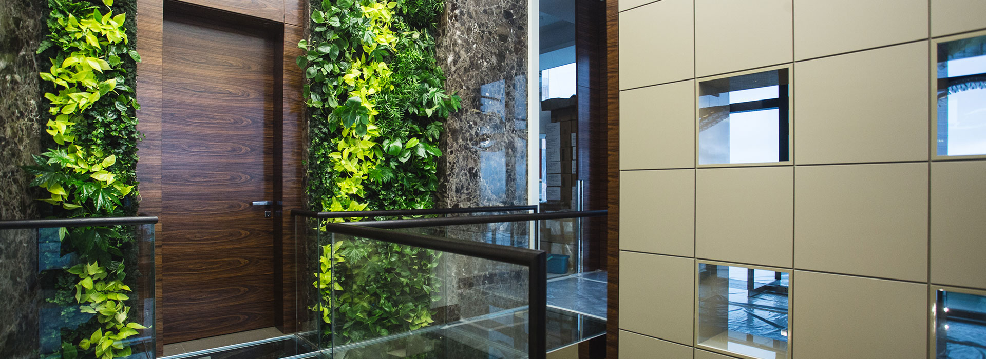 обслуживание растений, благоустройство и озеленение, ландшафтный дизайн москва, растения в офис, озеленение, озеленение офиса, озеленение интерьера, благоустройство и озеленение москва, mister green